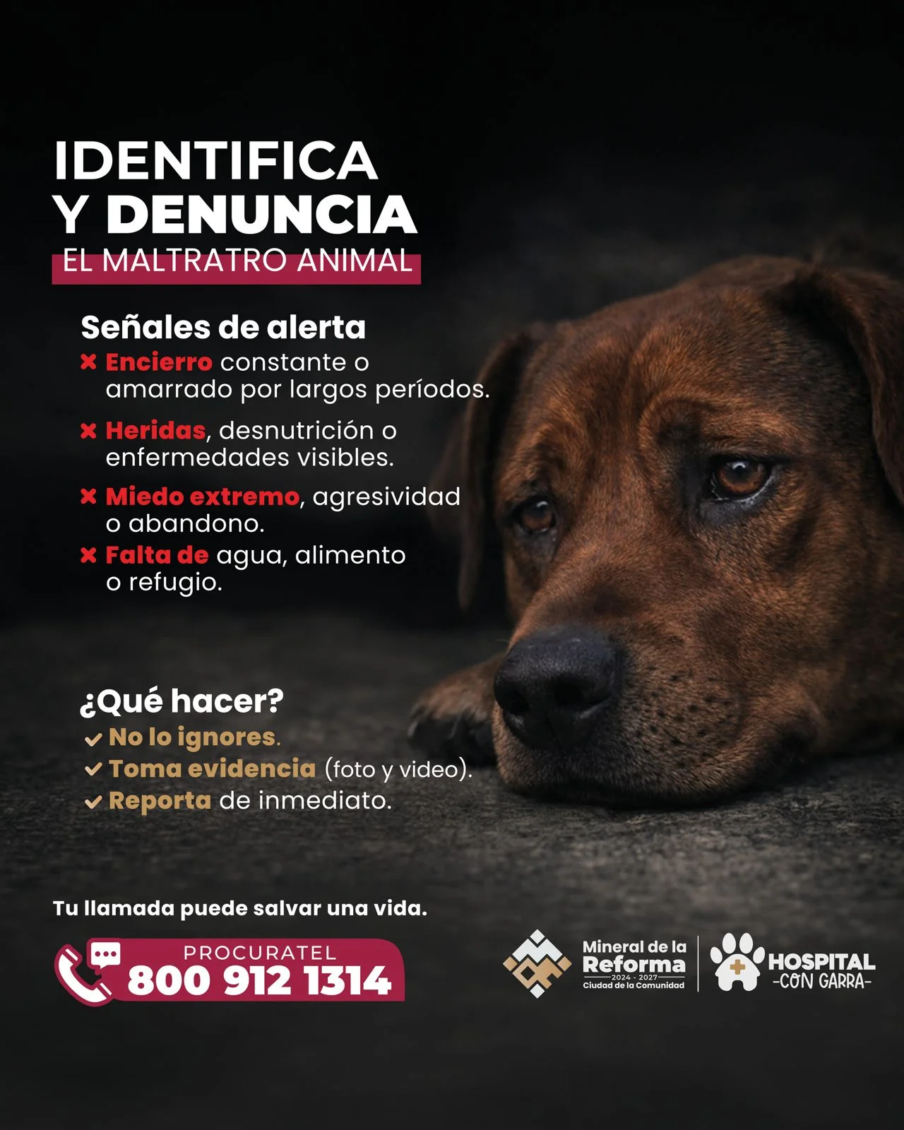 PROCURATEL