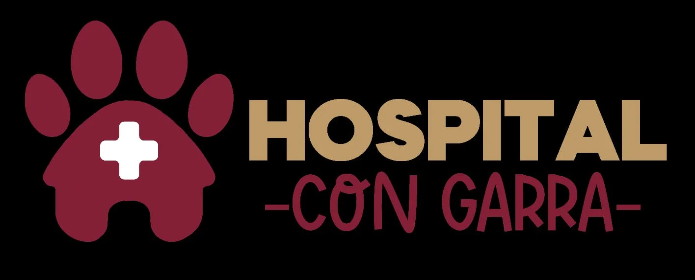 HOSPITAL CON GARRA