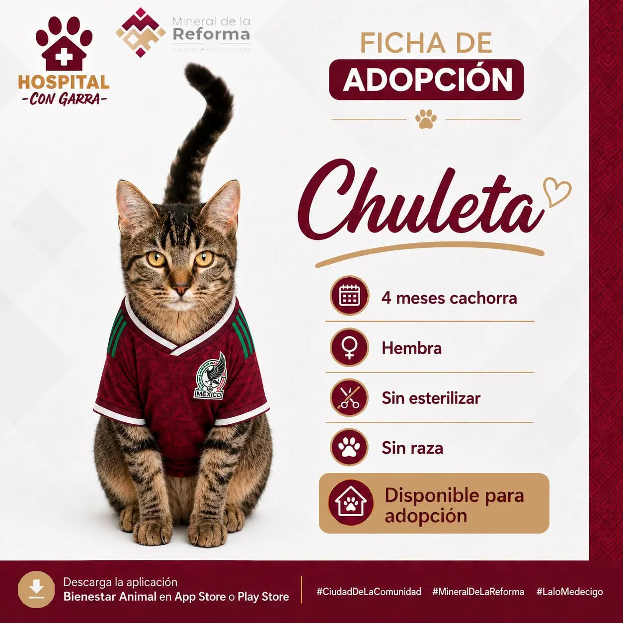 CHULETA