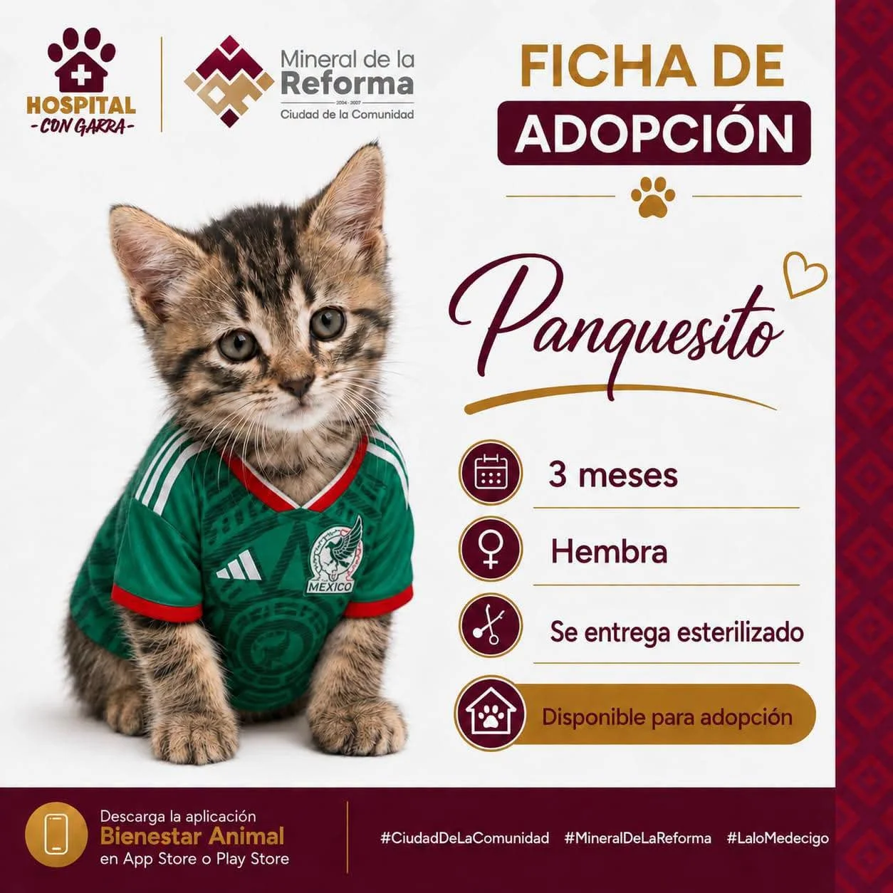 PANQUESITO