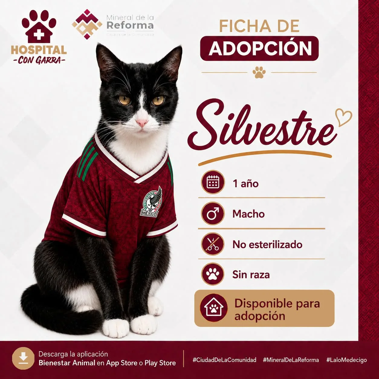 SILVESTRE