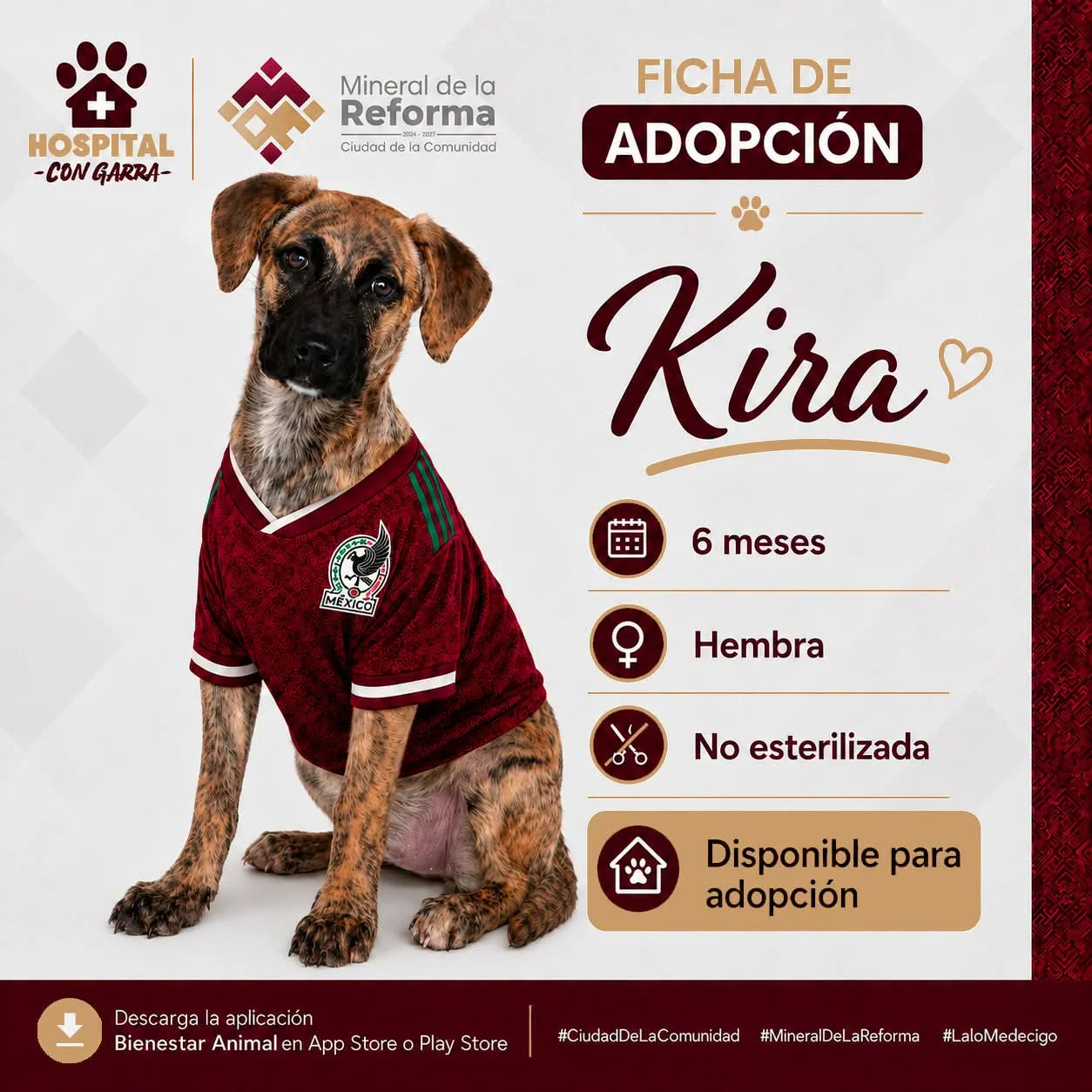 Kira