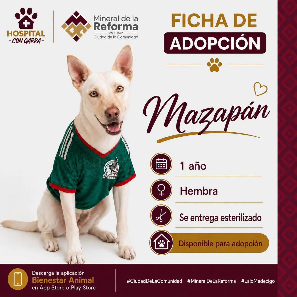 MAZAPÁN