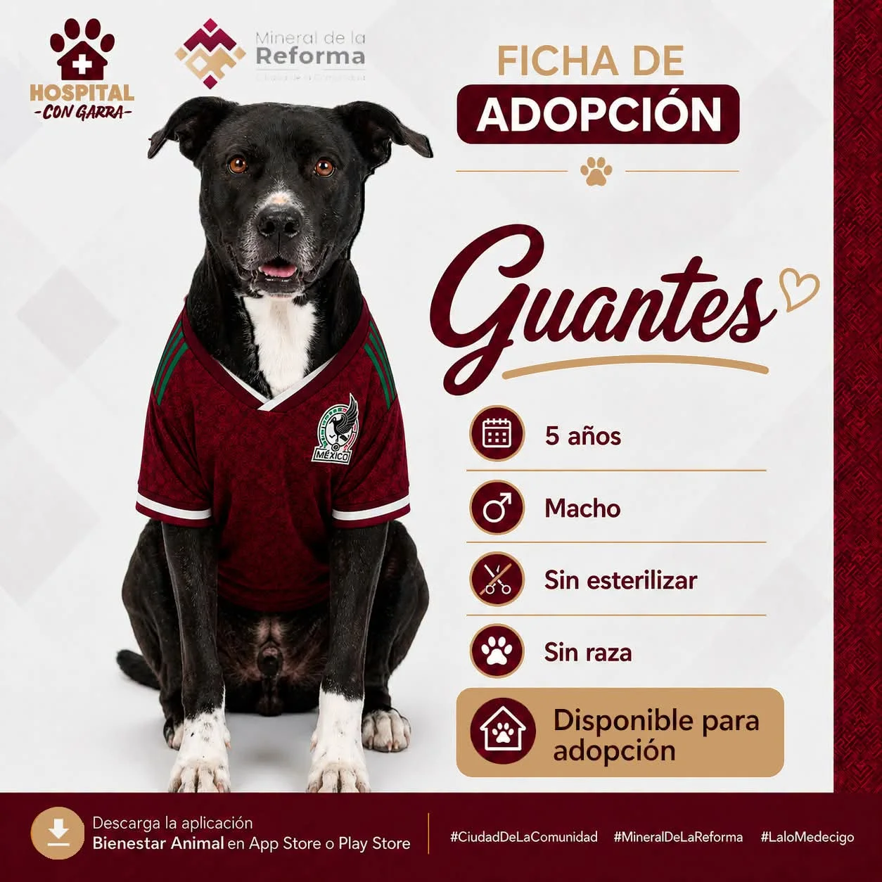 GUANTES